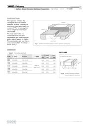 CC1206JKNPOCBN681 datasheet.datasheet_page 3