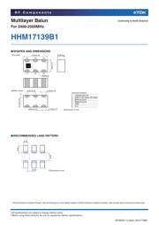 HHM17139B1 datasheet.datasheet_page 2