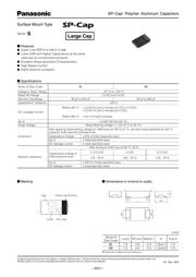 EEF-SX0G101ER datasheet.datasheet_page 1