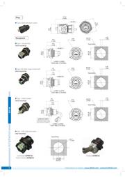 RJFTV7PEM2G00 datasheet.datasheet_page 6