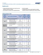 PME271Y422MR30 datasheet.datasheet_page 2