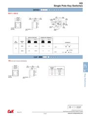 KS11R21CQE datasheet.datasheet_page 2