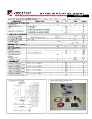 C8051F302 datasheet.datasheet_page 2