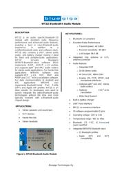 WT32I-A-AI6 datasheet.datasheet_page 6