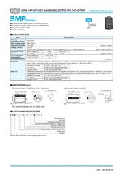 ESMR451VSN391MA30S datasheet.datasheet_page 1