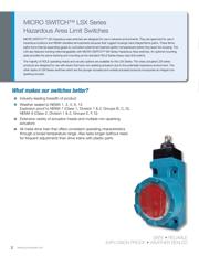 LSXA4L-2C datasheet.datasheet_page 2