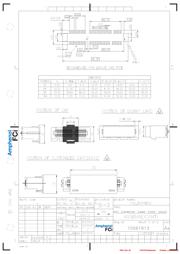 10061913-110MLF datasheet.datasheet_page 3