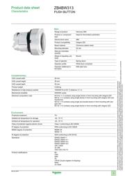 ZB4BW313 datasheet.datasheet_page 1