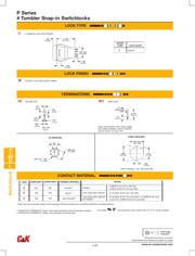 P10113TCM03Q22 datasheet.datasheet_page 3