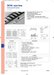 IKN0204000 datasheet.datasheet_page 2