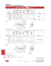 T101MHAVBE datasheet.datasheet_page 2