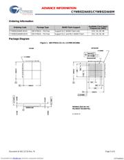 CYWB0224ABS_09 datasheet.datasheet_page 5