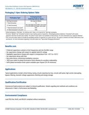 C0402C101J5GAC7411 datasheet.datasheet_page 2