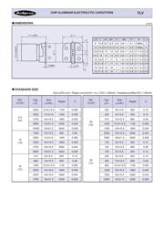 EEEFC1E331P 数据规格书 2