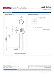 18R105C datasheet.datasheet_page 2