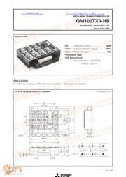 QM100 datasheet.datasheet_page 1