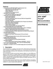 AT91FR40162-CI SL383 datasheet.datasheet_page 1