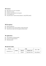 LSD100AAG-101-02 datasheet.datasheet_page 2