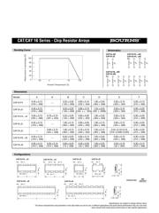 CAT16-101J8 datasheet.datasheet_page 2