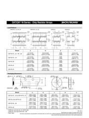 CAT16-101J8 datasheet.datasheet_page 3