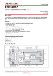 R2S15903SP datasheet.datasheet_page 1