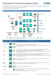 DPX252500DT-5217A1 datasheet.datasheet_page 1