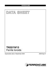 TN32/19/13-3E25 datasheet.datasheet_page 1