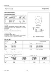 TN32/19/13-3E25 datasheet.datasheet_page 2