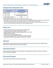 C0603C221J5GAC3121 datasheet.datasheet_page 2