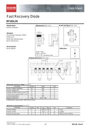 RF101L2SDDTE25 数据规格书 1