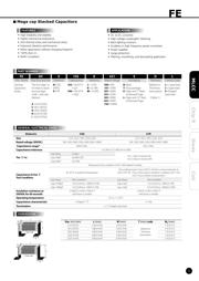 FM31X104K251EEG datasheet.datasheet_page 5