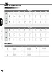 FM31X104K451EEG datasheet.datasheet_page 6