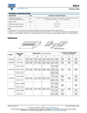 WSLP12065L000FEA 数据规格书 2