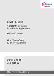 XMC4300F100K256AAXQMA1 datasheet.datasheet_page 3