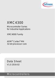 XMC4300F100K256AA 数据规格书 3