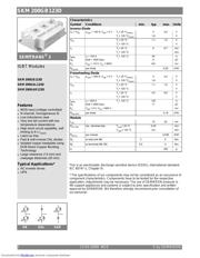 SKM 200GB123D1 datasheet.datasheet_page 2