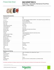 9001KR9P1RH13 datasheet.datasheet_page 1