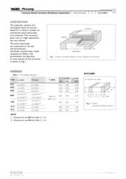 CC0201CRNPO9BN6R2 datasheet.datasheet_page 3