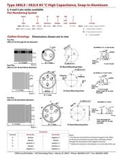 380LX123M063K052 datasheet.datasheet_page 2