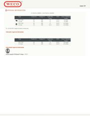 970-DS/06 datasheet.datasheet_page 2