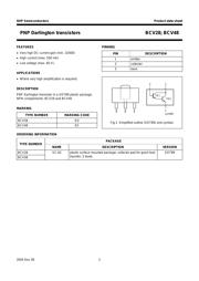 BCV48 datasheet.datasheet_page 2