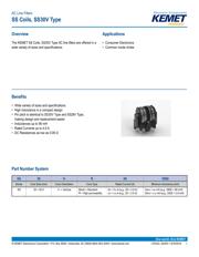 SS30V-R300071 datasheet.datasheet_page 1