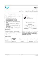 TS391 datasheet.datasheet_page 1