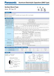 EEE1AA101WR datasheet.datasheet_page 1