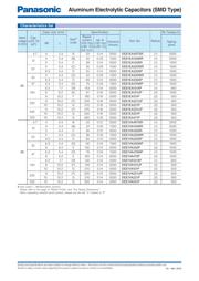 EEE1AA101WR datasheet.datasheet_page 3