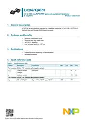 BC847QAPN datasheet.datasheet_page 1