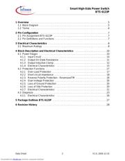 BTS6123P datasheet.datasheet_page 2