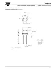 BPW21R datasheet.datasheet_page 3