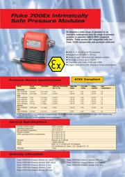 FLUKE 725EX datasheet.datasheet_page 3