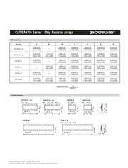 CAY16220J4 datasheet.datasheet_page 2